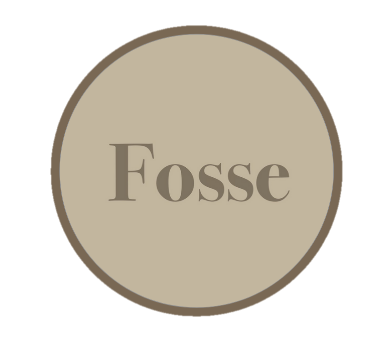Logo Fosse